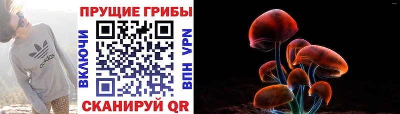 Псилоцибиновые грибы Psilocybine cubensis  купить наркотики сайты  мега tor  Фролово 