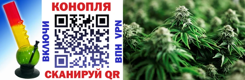 kraken сайт  купить наркоту  Фролово  МАРИХУАНА White Widow 